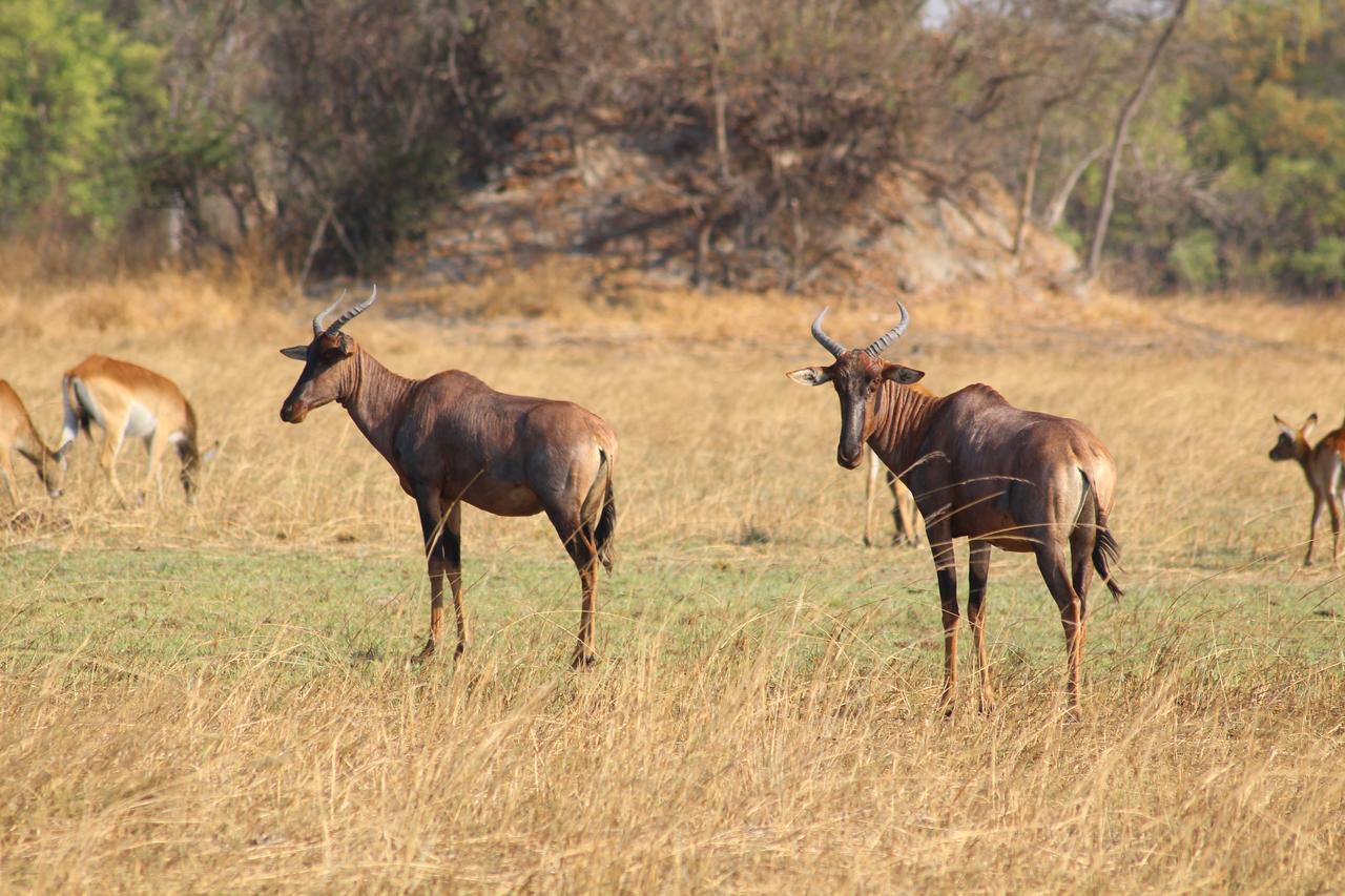 Chaminuka Lodge Lusaka Esterno foto